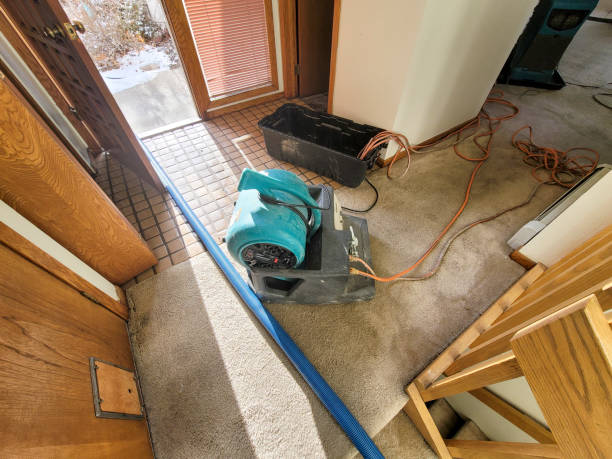 Best Flooded house restoration  in Tuscarawas, OH